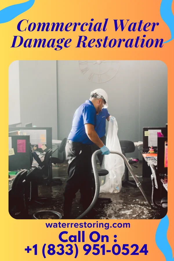 Commercial Water Damage Restoration in Redlands, CO